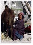Rumbak mother * 3469 x 4765 * (12.02MB)